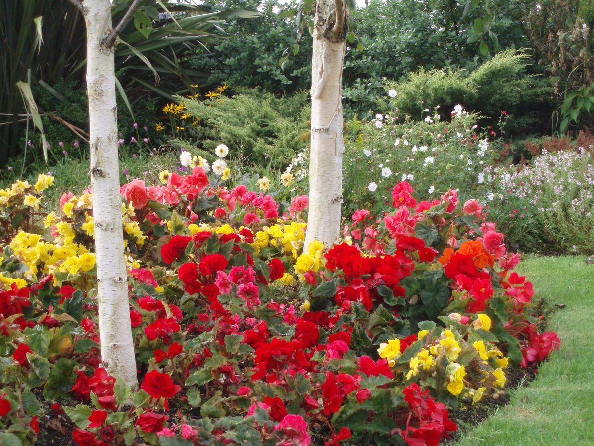 بويل Rosdarrig Bed & Breakfast المظهر الخارجي الصورة